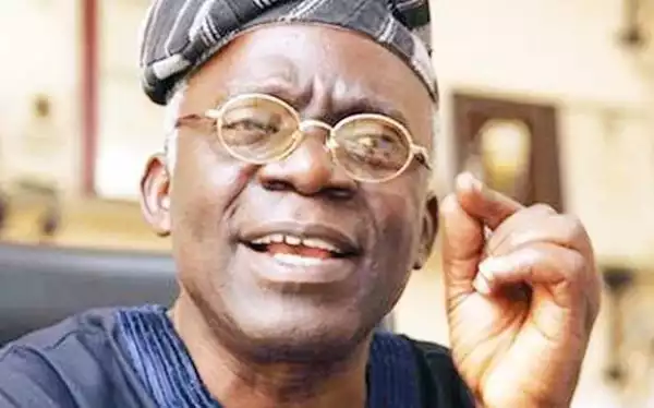 Some judges in NJC are untouchable – Falana
